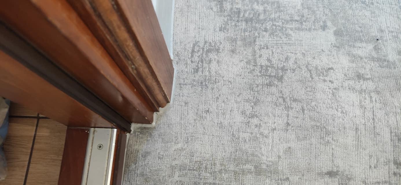 235124419 150984177174317 462234767057208382 N